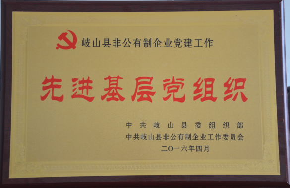 通运集团党总支荣获由岐(qi)山县委组织部、县非(fei)公党建委员会授予(yu)的“先进基层(ceng)党组